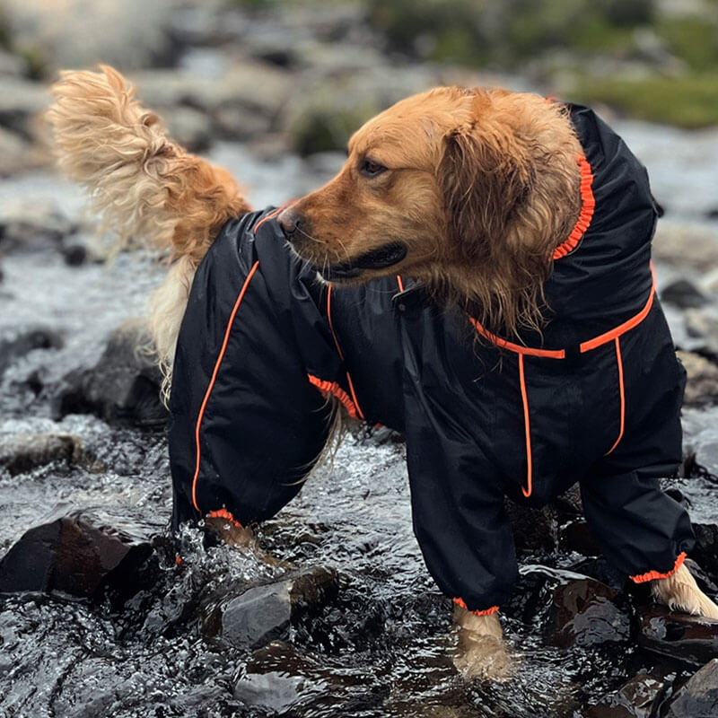 Sandsberg | Hund Outdoor Jacke Wasserdicht Verstellbarer Hunderegenmantel
