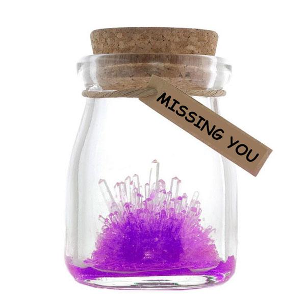 Magic Crystal Growing Jar Kit (Verschillende Kleuren En Berichten)