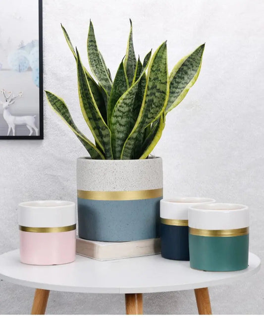 Moderner Blumentopf mit goldenem Rand – Elegante Keramikpflanzen für Innen- und Außenpflanzen
