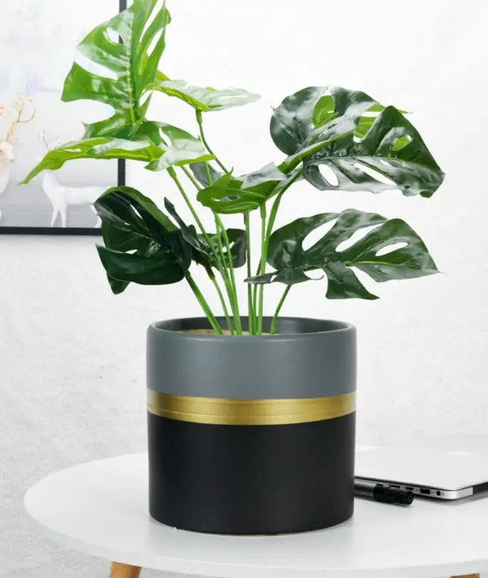 Moderner Blumentopf mit goldenem Rand – Elegante Keramikpflanzen für Innen- und Außenpflanzen