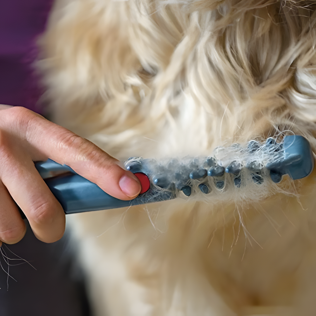 Sandsberg | No more knots and tangles for your pet