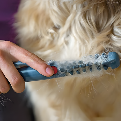 Sandsberg | No more knots and tangles for your pet