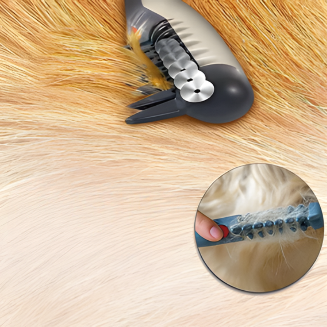 Sandsberg | No more knots and tangles for your pet