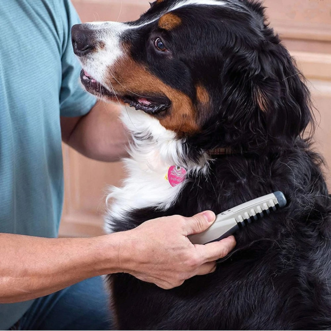 Sandsberg | No more knots and tangles for your pet