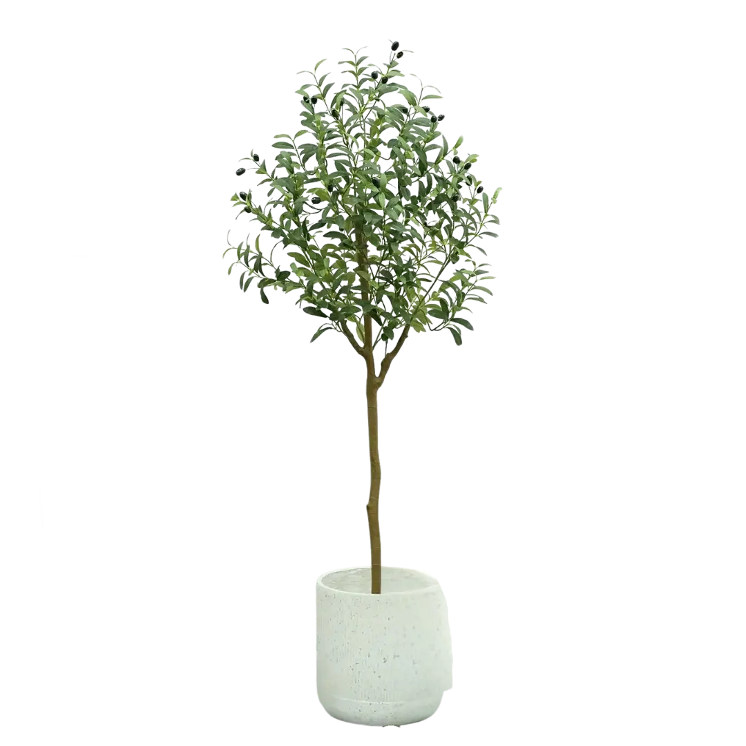 Sandsberg | OlivaLeaf - Lebensechte Olivenbaumdekoration