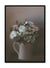 Sandsberg | Aroma, Poster