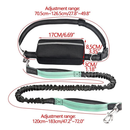 Sandsberg | Gepolsterte, freihändige Hundeleine für Training und Spaziergänge