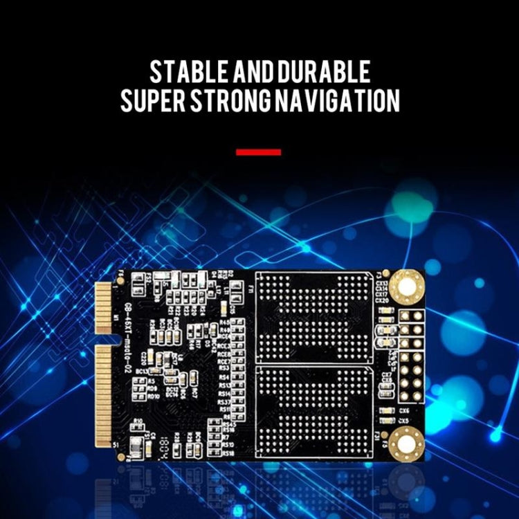 Sandsberg | Vaseky V800 64GB 1,8 Zoll SATA3 Mini Interne Solid State Drive MSATA SSD Modul für Laptop