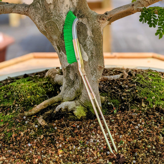 Sandsberg | Nylonbürste für Bonsai-Stammbereich Reinigung – Gartenpflege Werkzeug