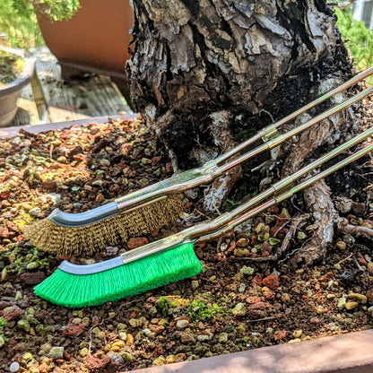 Sandsberg | Nylonbürste für Bonsai-Stammbereich Reinigung – Gartenpflege Werkzeug
