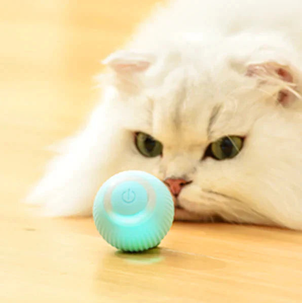 Intelligenter Katzenball