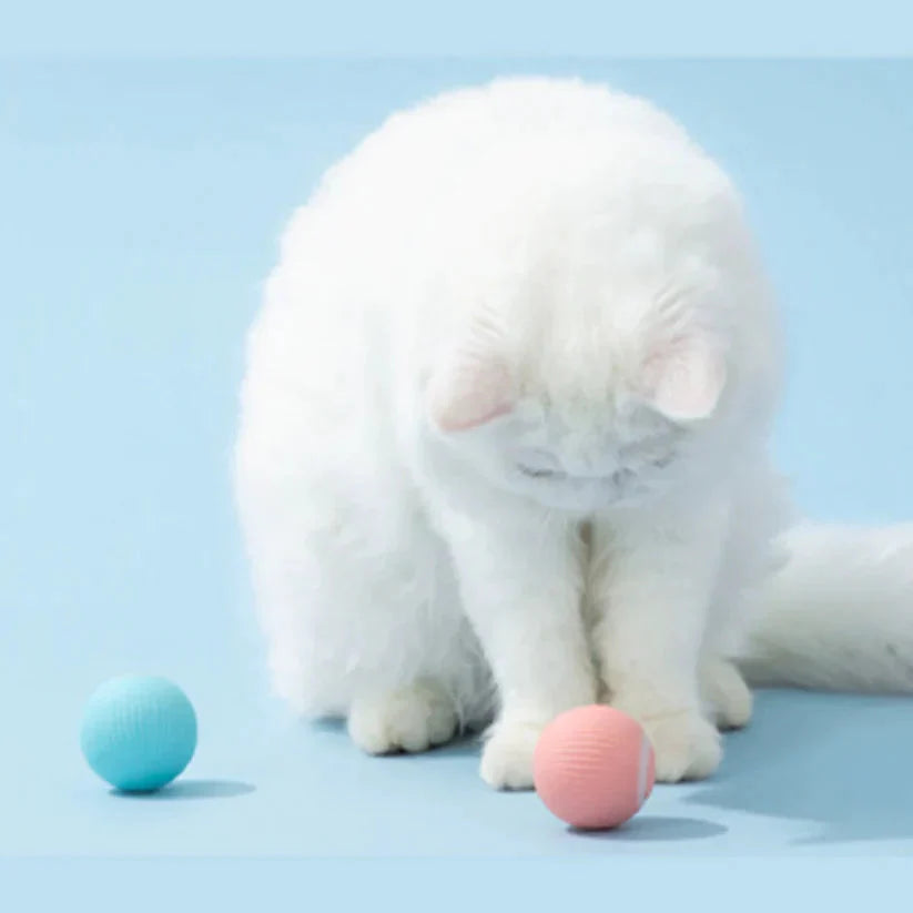 Intelligenter Katzenball