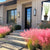 Pink Muhly Grass in Trade Gallon