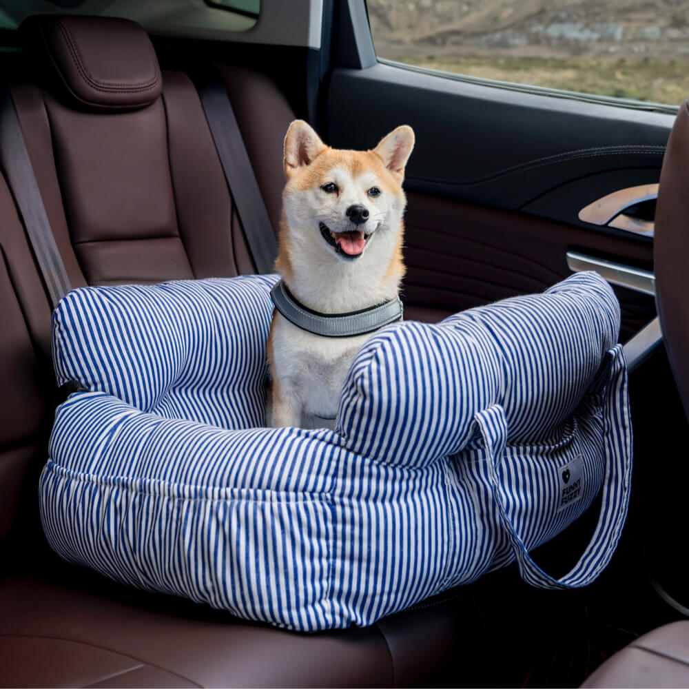 Sandsberg | Pet Sitter - Road Trip Haustier Booster