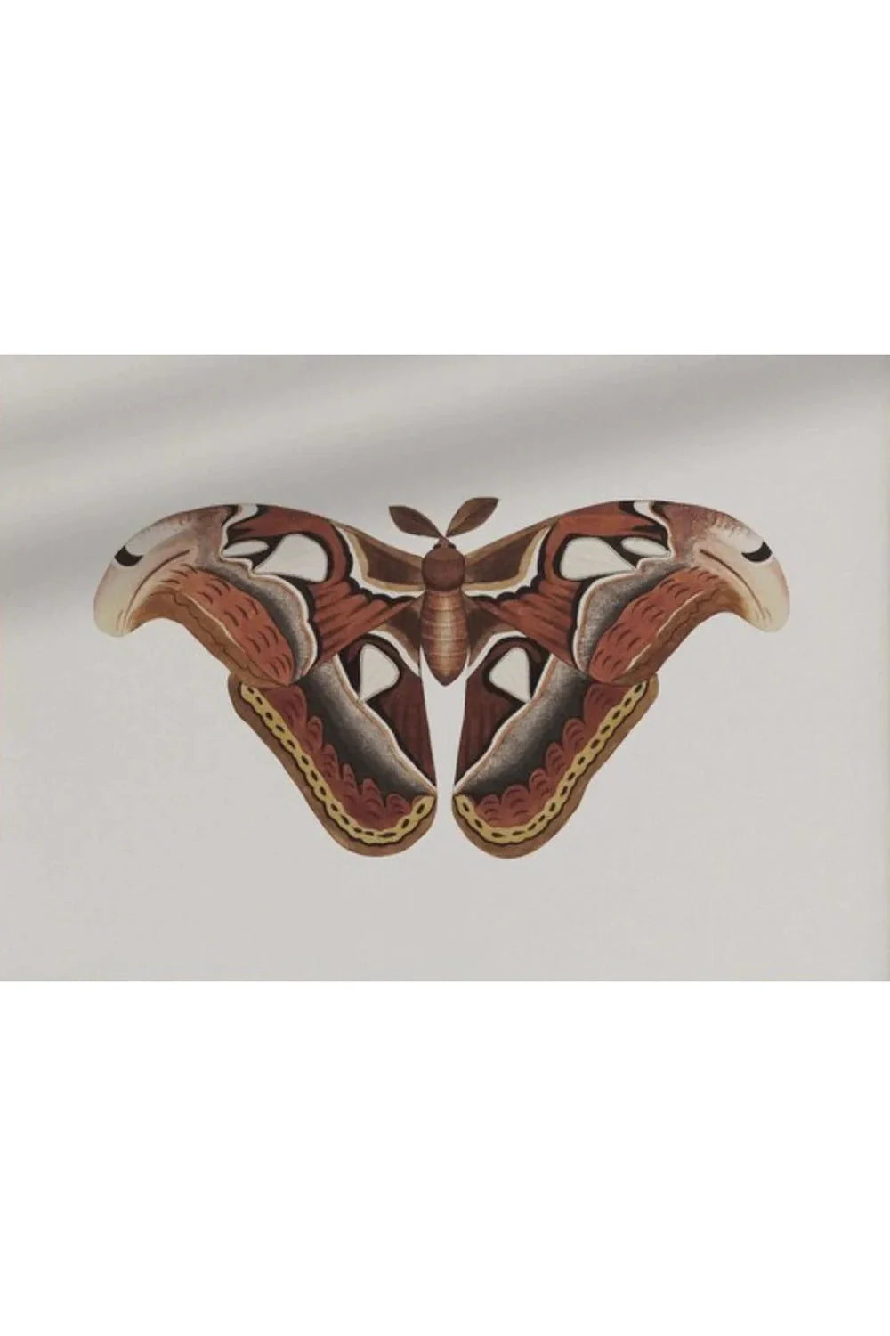 Gothic Nature Galerie Poster