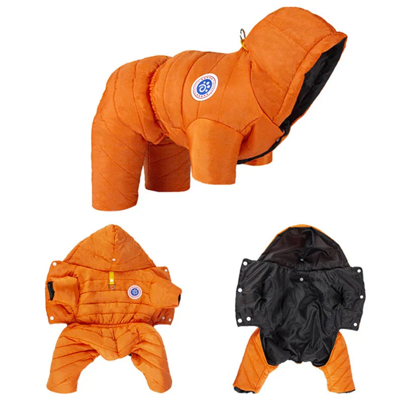 Sandsberg Winterjacke für kleine bis mittelgroße Hunde
