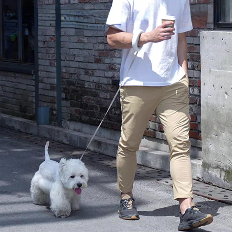 Sandsberg Hundeleine – 3m Einziehbare, Robuste Leine für Hunde bis 30kg