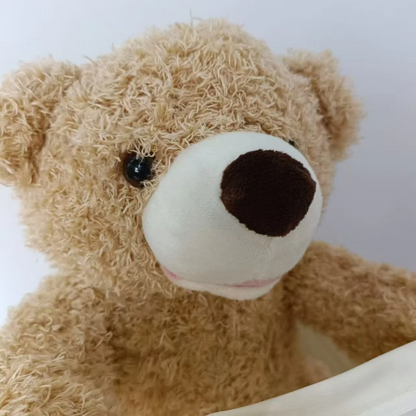 Sandsberg | SnuggleBuddy Peek-a-Boo Bär | Interaktives sprechendes Plüschtier für Babys & Kleinkinder