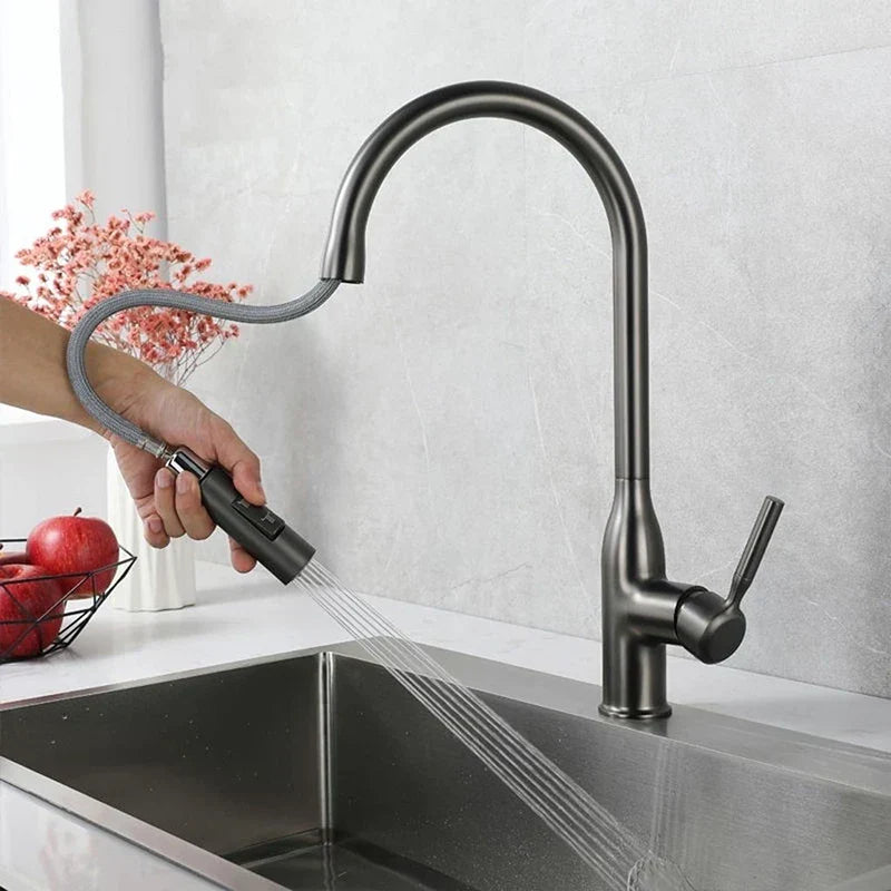 AquaStream Luxe – Verstellbarer Küchenhahn mit Handbrause