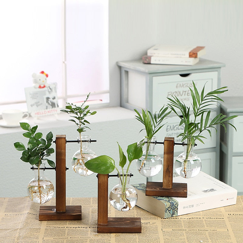 Vintage Garden - Holzrahmen-Terrarium Hydroponische Pflanzenvasen