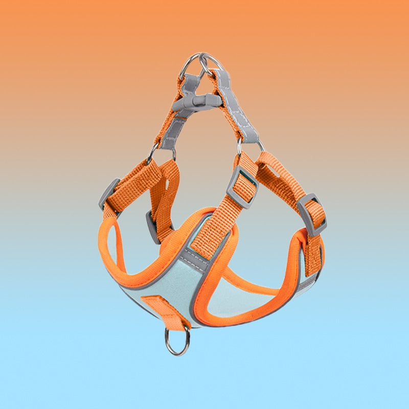 Sandsberg | Reflective Puppy Harness - BrightPaw