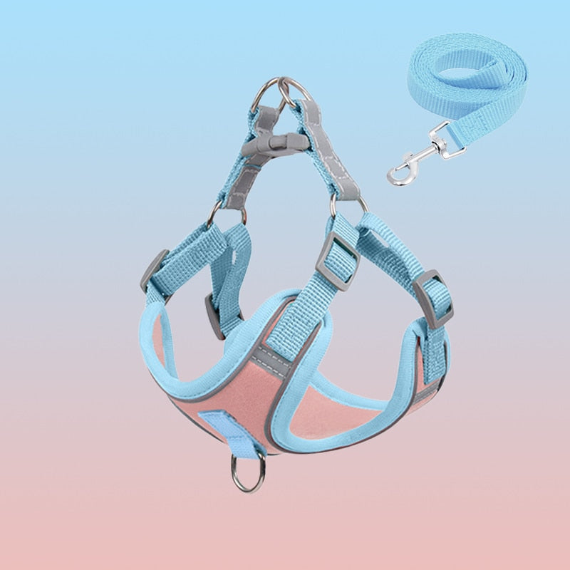 Sandsberg | Reflective Puppy Harness - BrightPaw