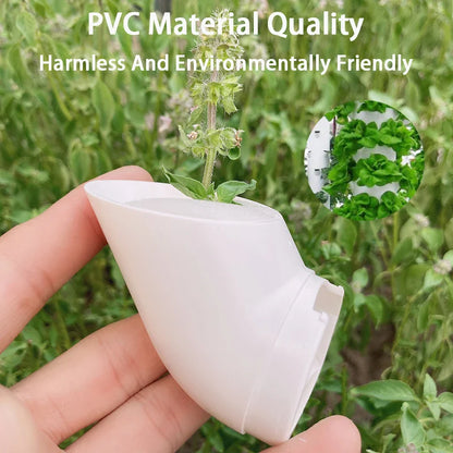 Sandsberg | Hydroponisches Gartenpflanzenbecher