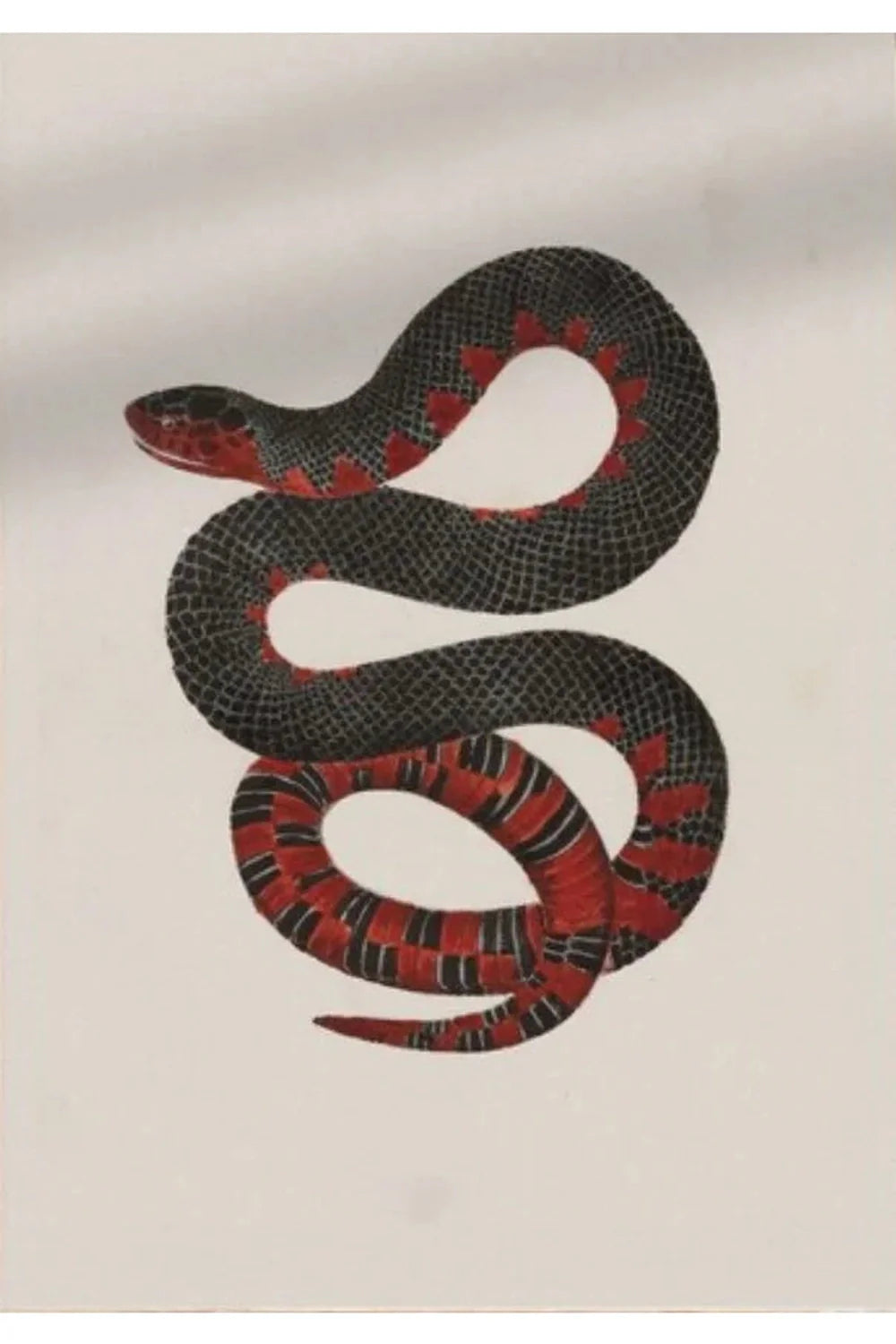 Gothic Nature Galerie Poster