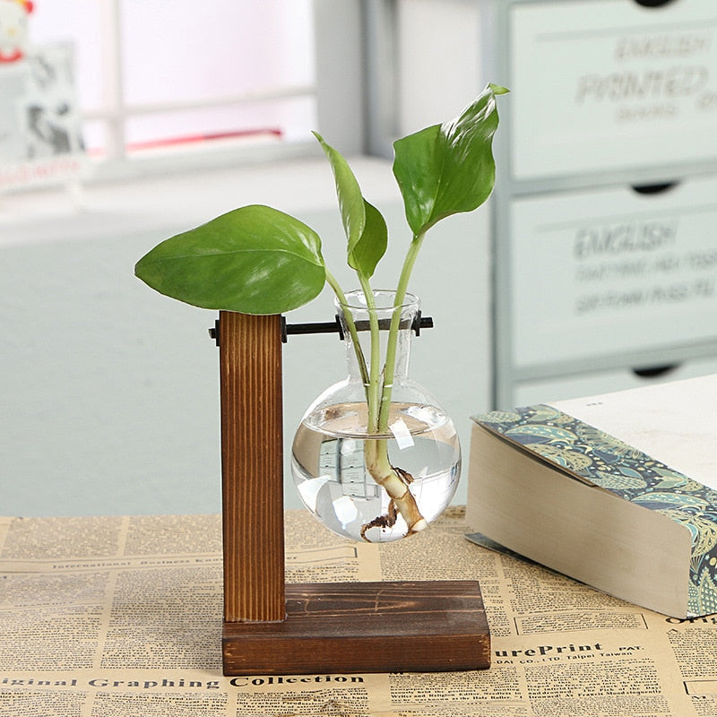 Vintage Garden - Holzrahmen-Terrarium Hydroponische Pflanzenvasen