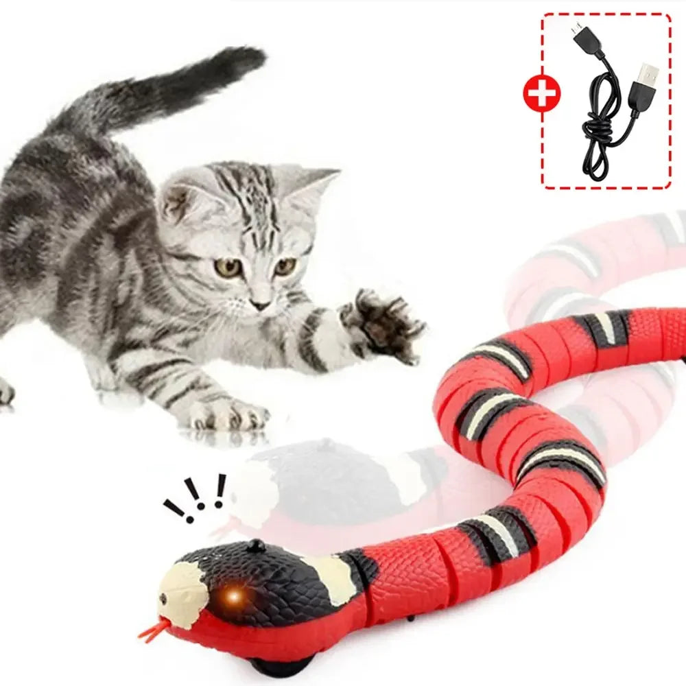 Sandsberg – Intelligentes Interaktives Schlangenspielzeug für Katzen