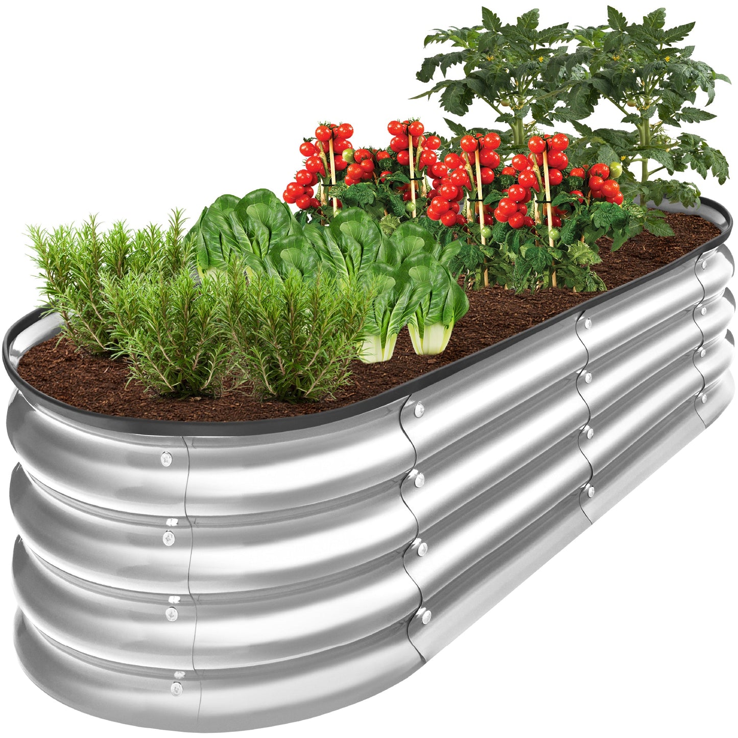 Sandsberg | Outdoor Erhöhtes Metall Oval Gartenbett, Pflanzbox - 4x2x1ft