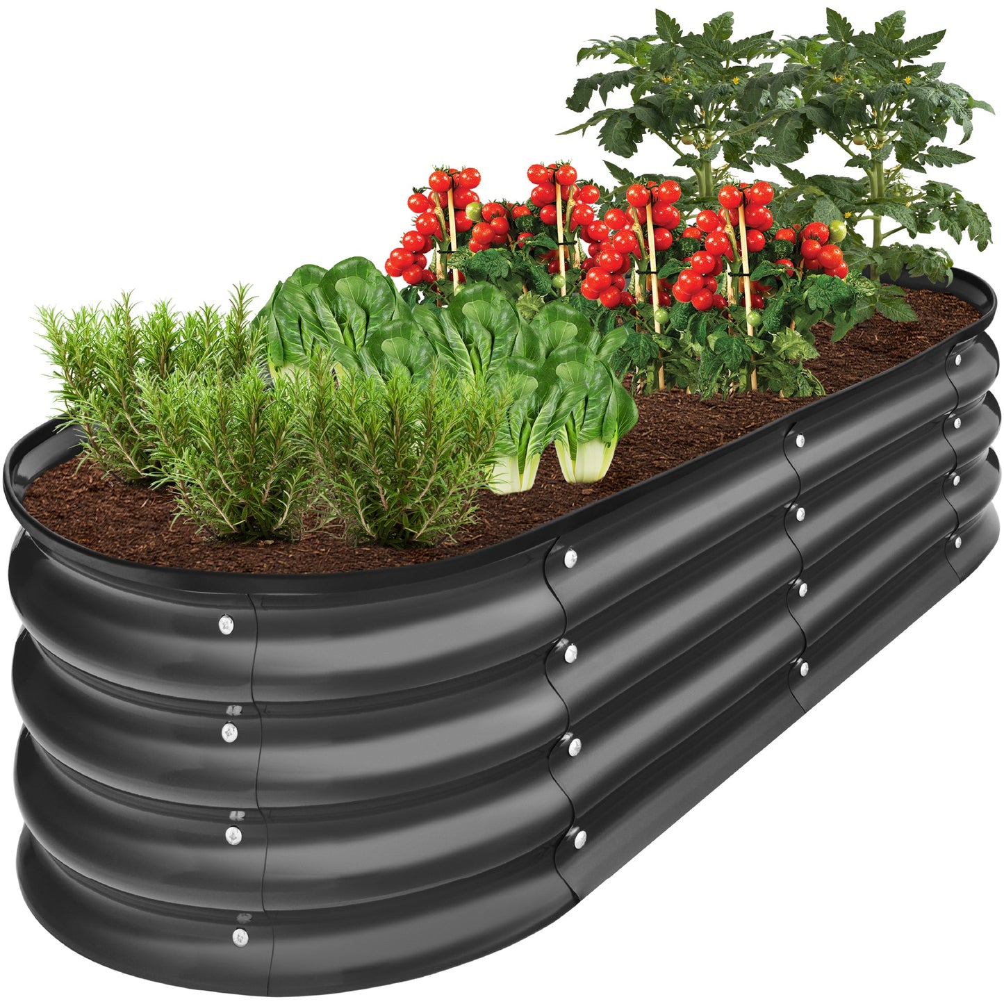 Sandsberg | Outdoor Erhöhtes Metall Oval Gartenbett, Pflanzbox - 4x2x1ft