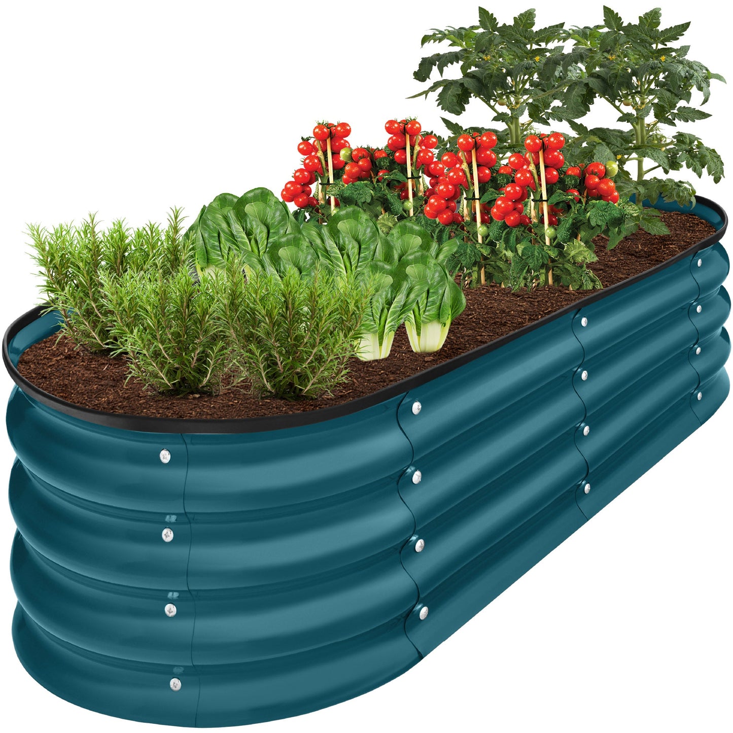 Sandsberg | Outdoor Erhöhtes Metall Oval Gartenbett, Pflanzbox - 4x2x1ft