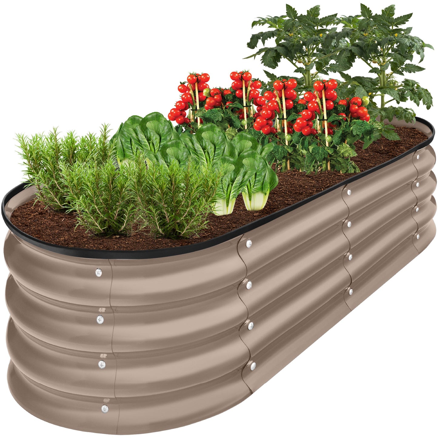 Sandsberg | Outdoor Erhöhtes Metall Oval Gartenbett, Pflanzbox - 4x2x1ft
