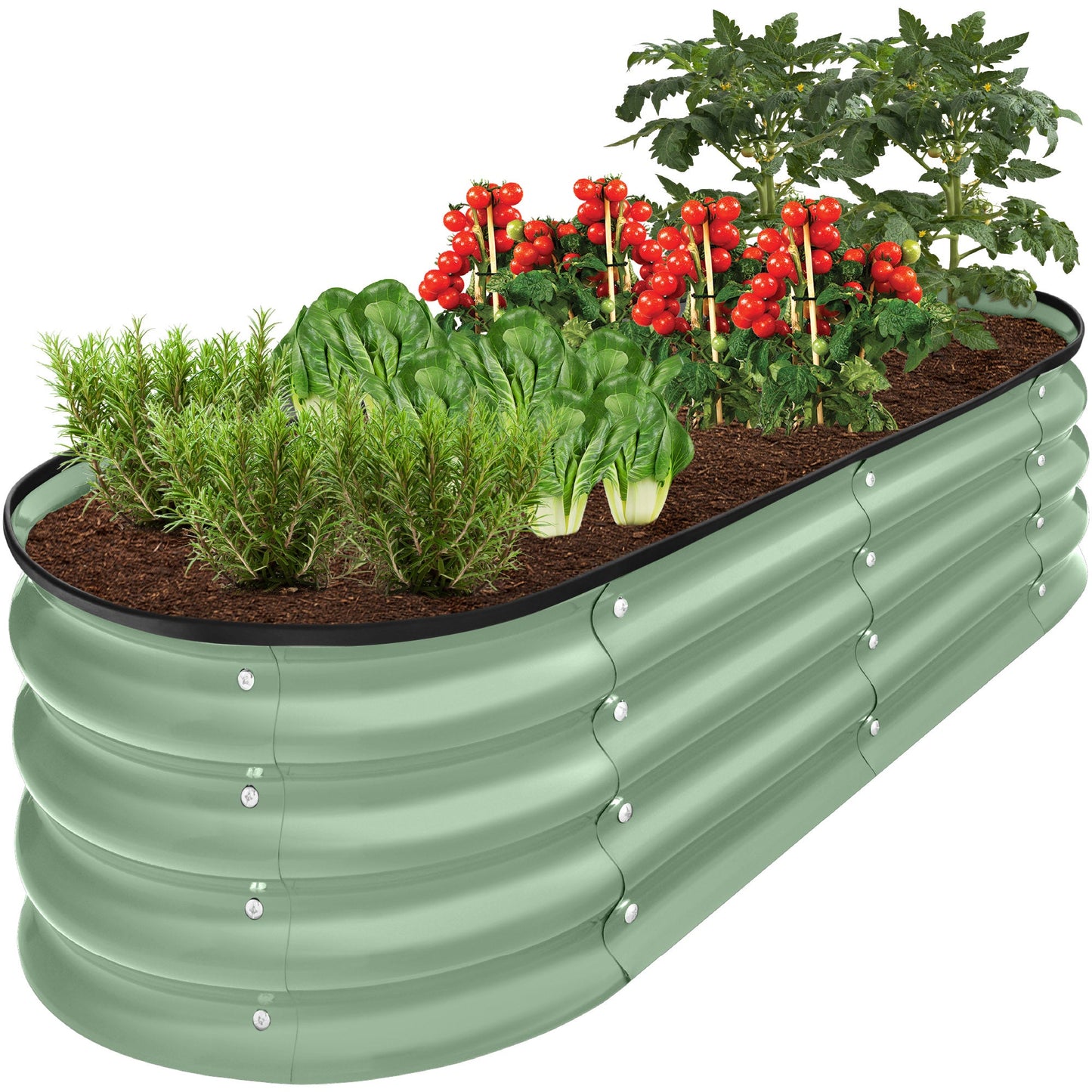 Sandsberg | Outdoor Erhöhtes Metall Oval Gartenbett, Pflanzbox - 4x2x1ft