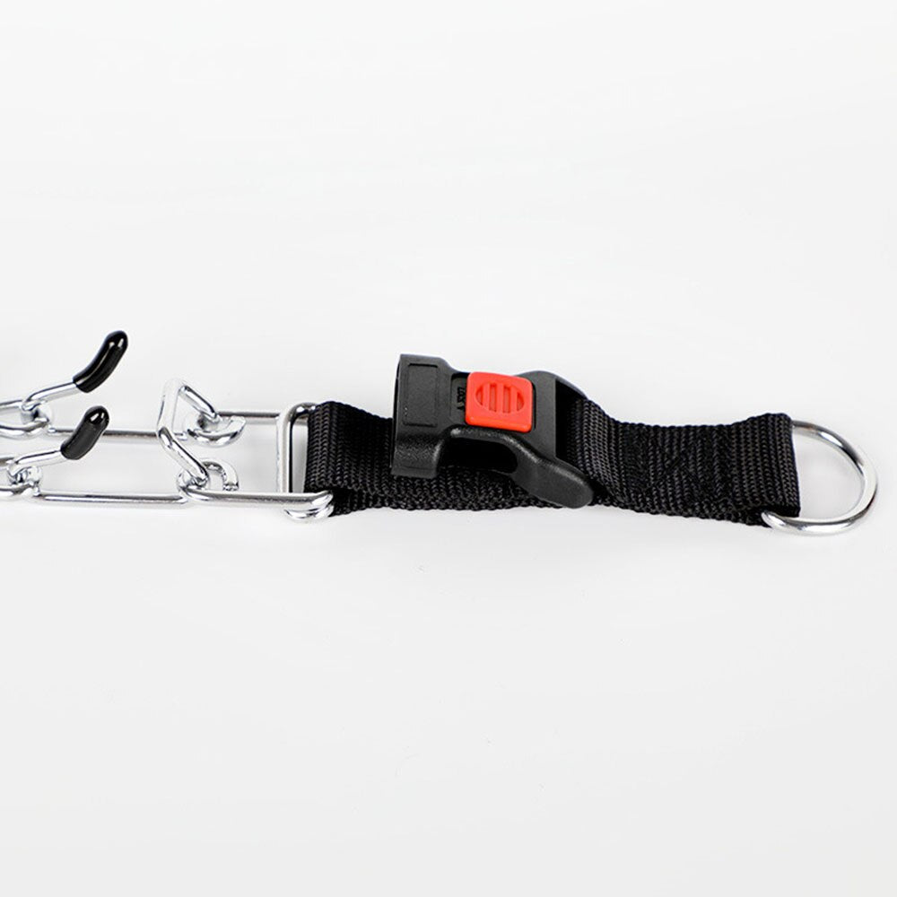 Hund Pincher Halsband - Stil C