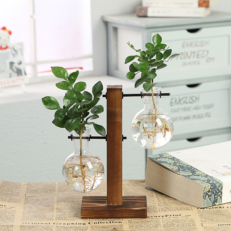 Vintage Garden - Holzrahmen-Terrarium Hydroponische Pflanzenvasen