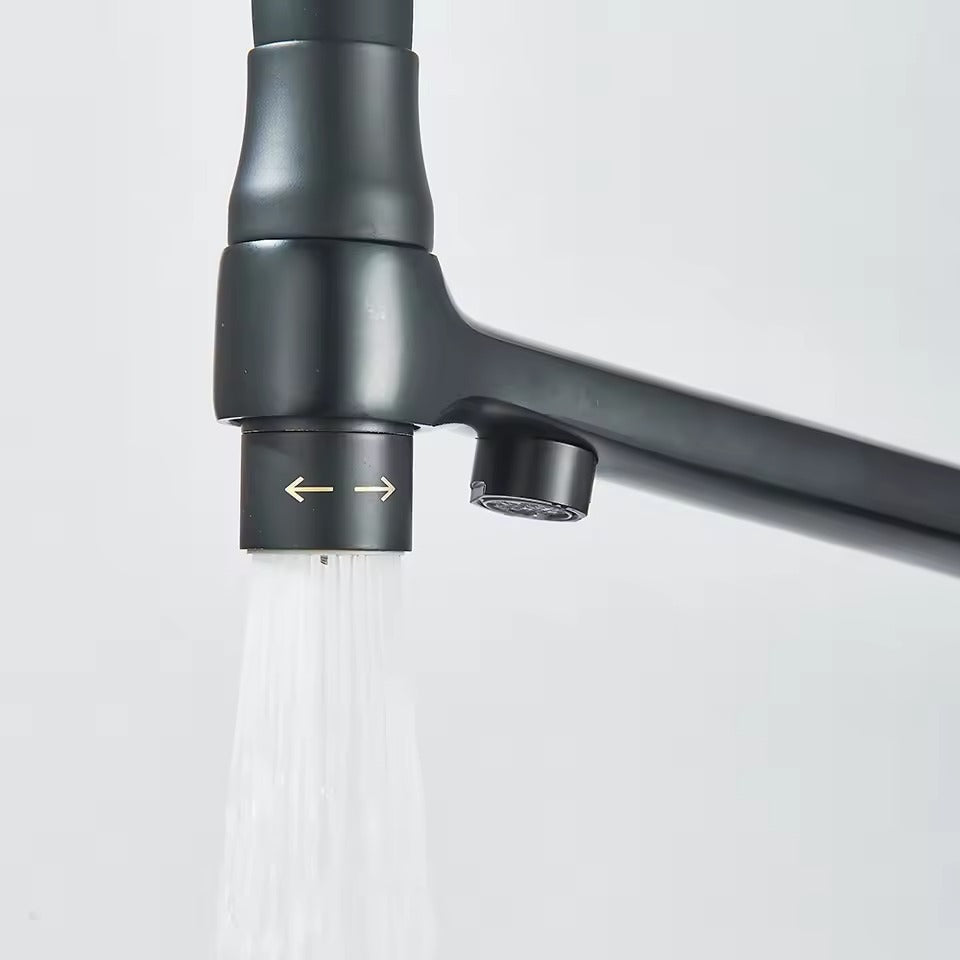 Spülbeckenarmatur mit Filterwasser, Dualer Auslauf, Wasserreinigungsfunktion, 360° drehbar, Küchenarmatur für die Küche
