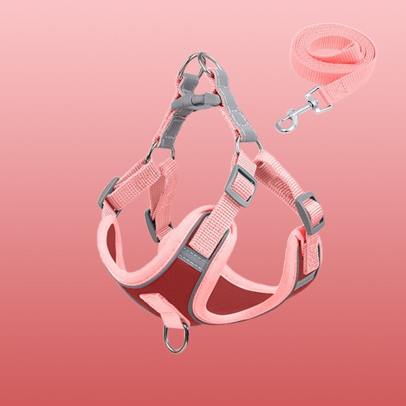 Sandsberg | Reflective Puppy Harness - BrightPaw