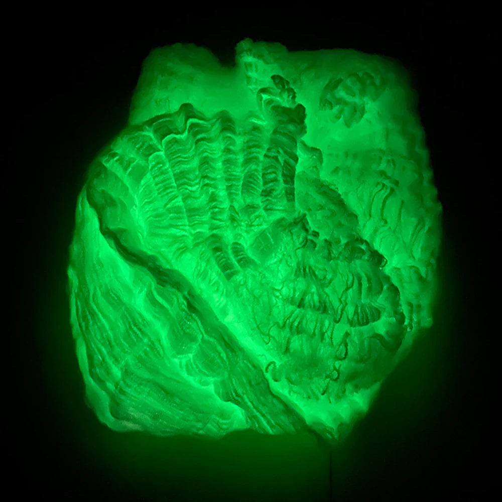 Sandsberg | Leuchtendes Spinnennetz