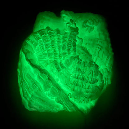 Sandsberg | Leuchtendes Spinnennetz