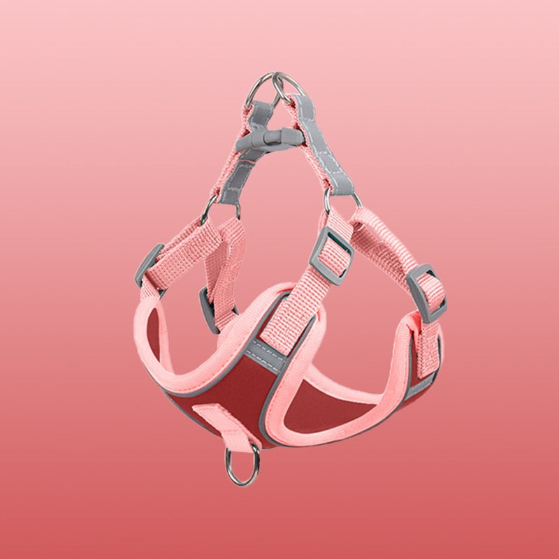 Sandsberg | Reflective Puppy Harness - BrightPaw