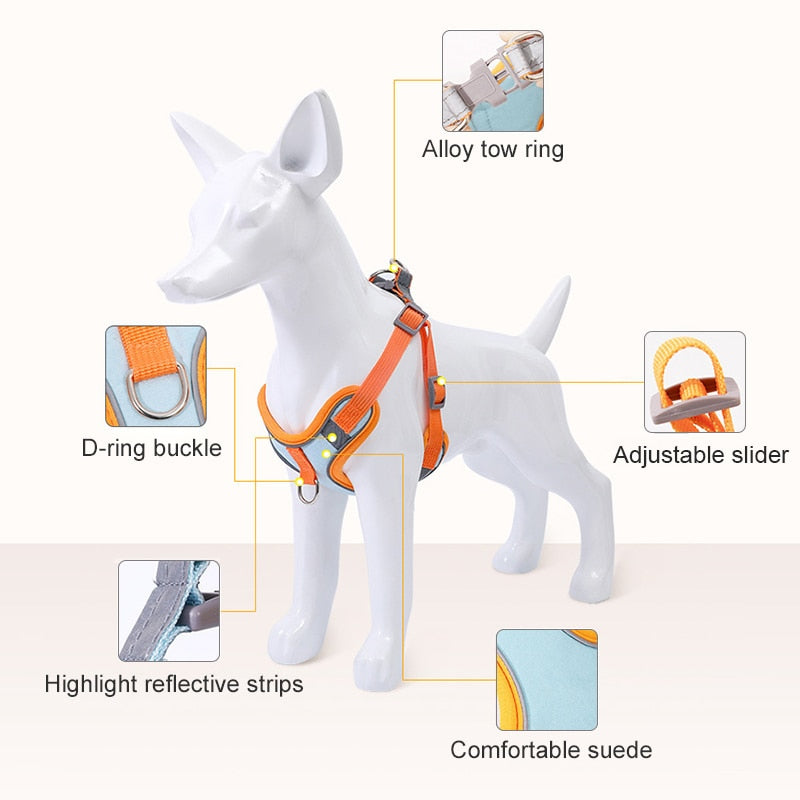 Sandsberg | Reflective Puppy Harness - BrightPaw