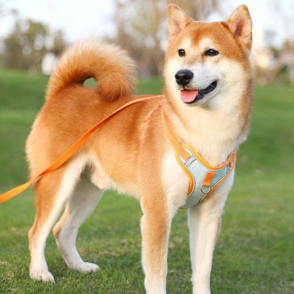 Sandsberg | Reflective Puppy Harness - BrightPaw