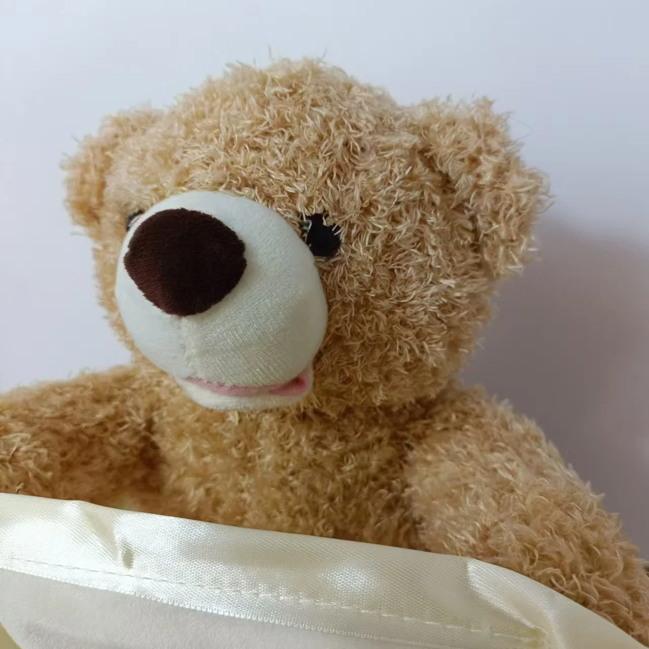 Sandsberg | SnuggleBuddy Peek-a-Boo Bär | Interaktives sprechendes Plüschtier für Babys & Kleinkinder