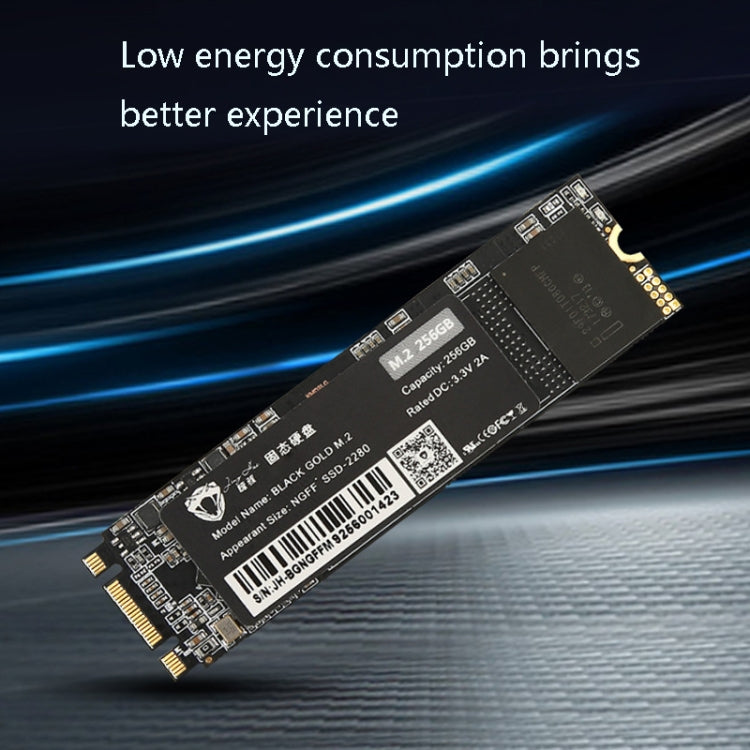 Sandsberg | JingHai M.2 NGFF SSD Notebook Desktop Solid State Drive, Kapazität:1TB
