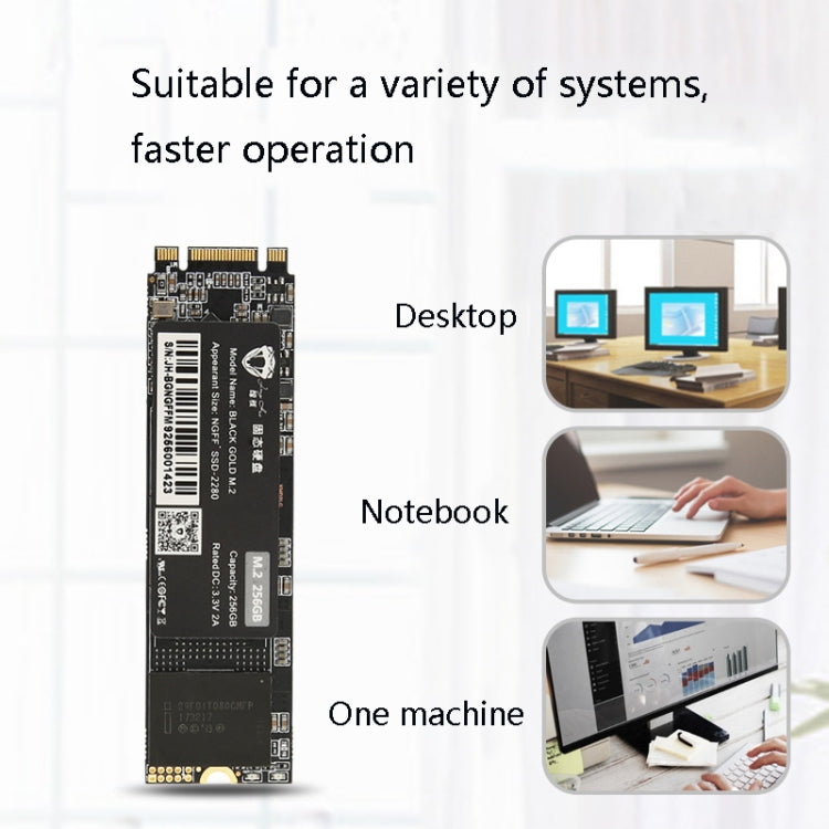 Sandsberg | JingHai M.2 NGFF SSD Notebook Desktop Solid State Drive, Kapazität:1TB