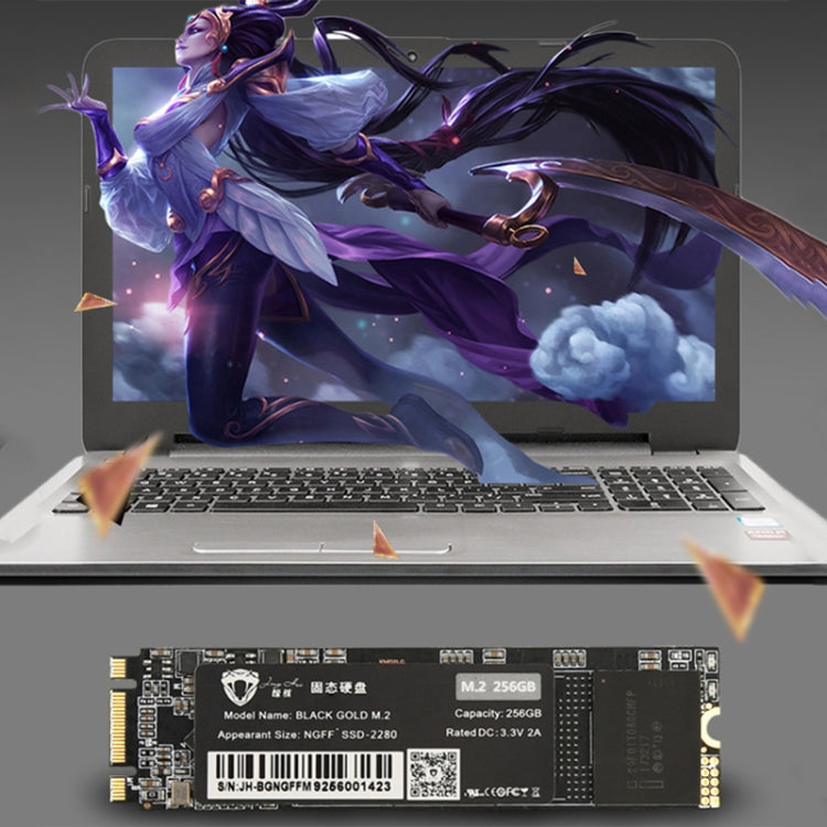 Sandsberg | JingHai M.2 NGFF SSD Notebook Desktop Solid State Drive, Kapazität:1TB