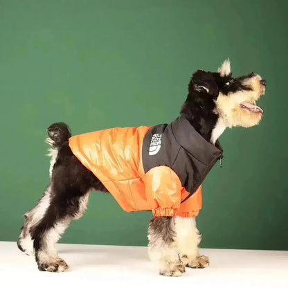 Die Dog Face Jacke - Typ A