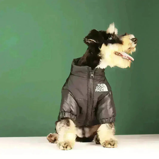 Die Dog Face Jacke - Typ A